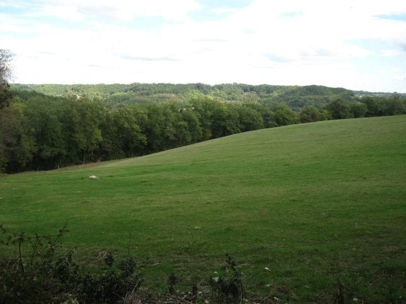 Prairie verdoyante bordée de bois à Bajamont